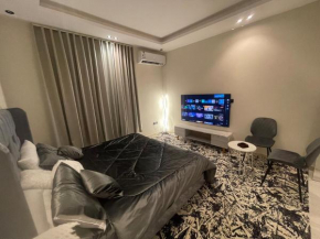 Stylish studio with a new kitchen and private bathroom with heater